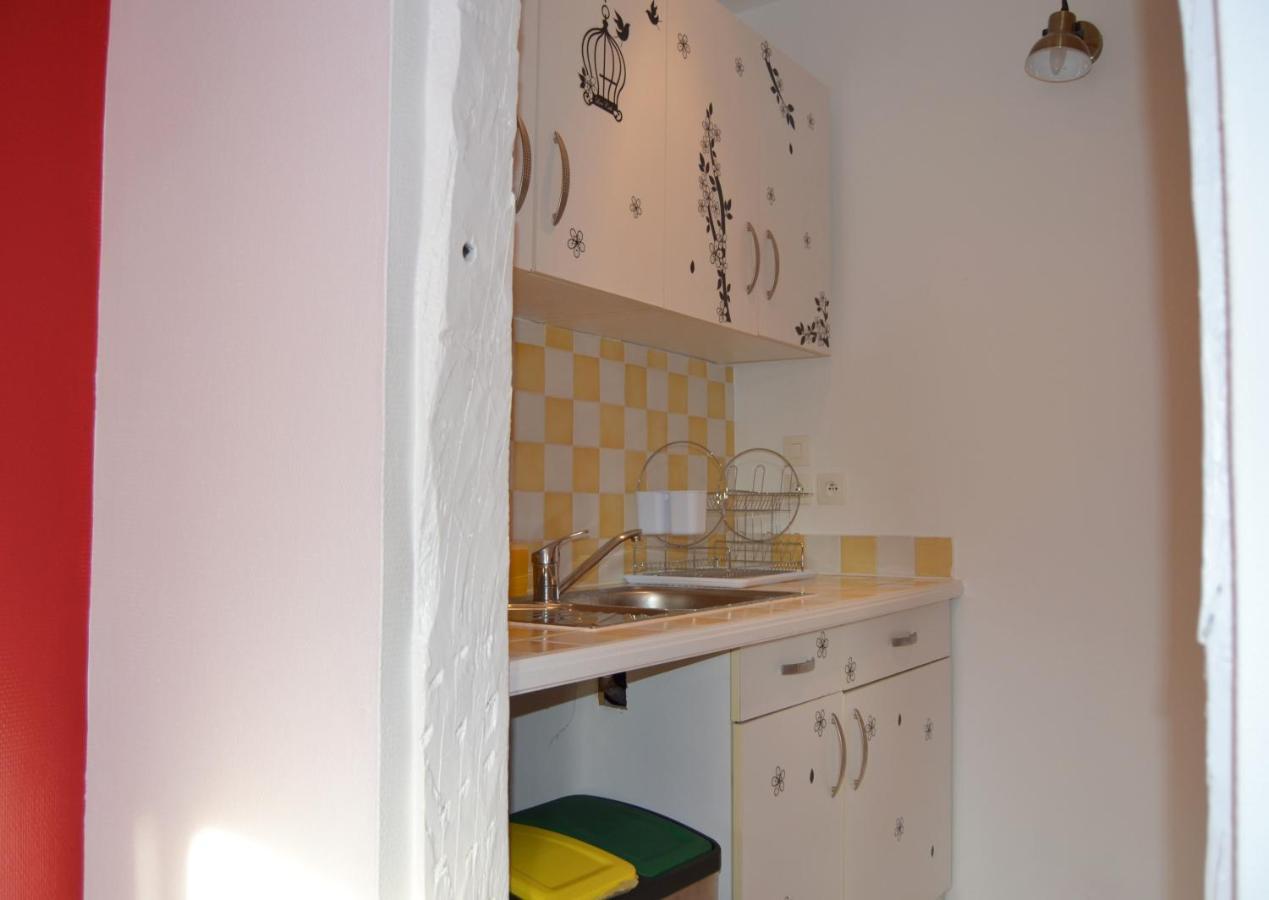 Apartment L'Enfant De Boheme D'Albi - Centre Unesco - 200M Cathedrale - Parking - Animaux Acceptes *